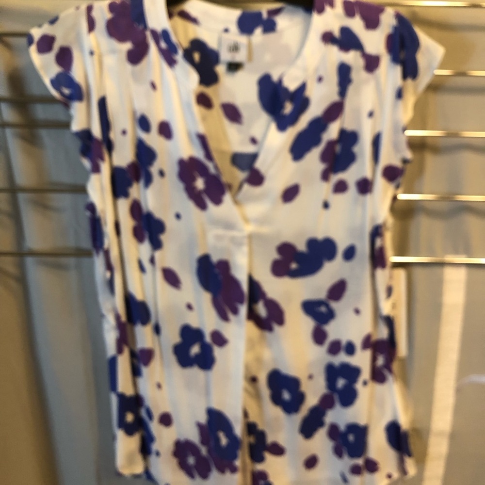 Cabi violet top
